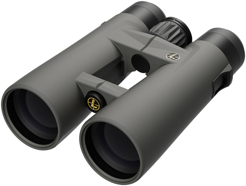Leupold Binocular Bx-4 Pro Guide HD 10X42 Gen2 Roof Grey