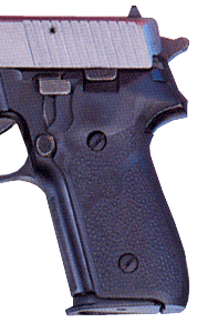 HOGUE GRIPS SIGARMS P228 &-img-1