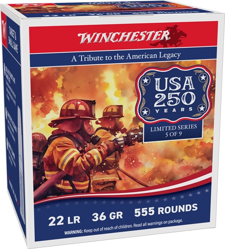 WINCHESTER 22LR 36GR PLATED HP 1280FPS 555RD 10BX/CS 250TH