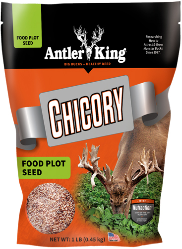 Antler King Chicory Seed 1/4 Acre