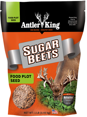 Antler King Sugar Beets Seed 1/8 Acre