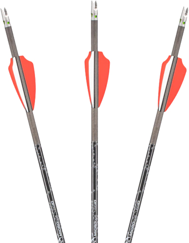 AXE CROSSBOW MICRO BOLT .166 W/RED LIGHTED NOCK 18 3PK<
