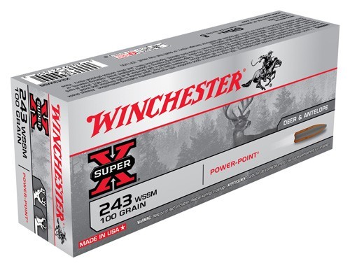 CHESTER SUPER-X 243 WSSM-100GR POWER POINT 20RD 10BX/CS Ammo