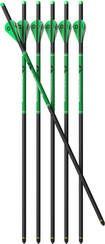 CENTERPOINT CP400 Select Carbon Arrows 6-Pack (AXCCA20TPK)