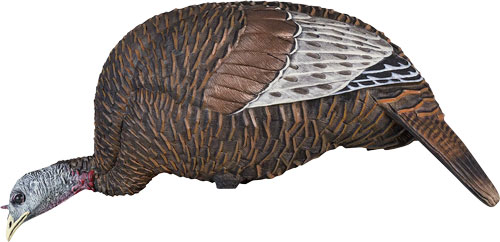 Flextone Calls Thunder Chick Turkey Decoy Feeding HEN FG-DCOY-00314 - GSM Outdoors for sale at TheGunDock