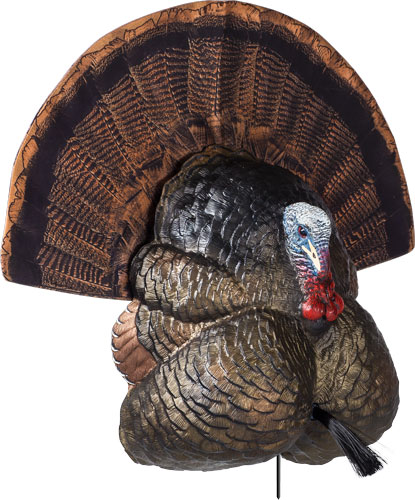 Flextone FGDCOY00316 Thunder Creeper Strutter Decoy with Folding Fan - GSM Outdoors for sale at TheGunDock
