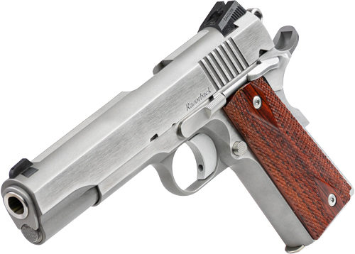 Dan Wesson Razorback RZ-10 10mm Pistol
