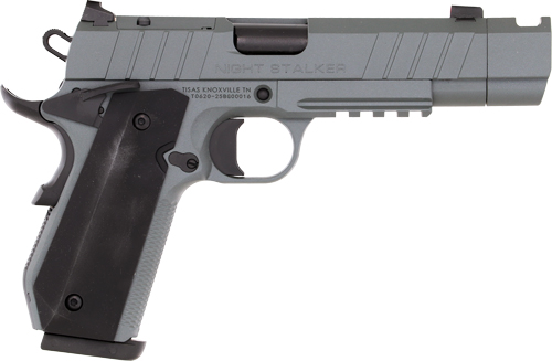 Tisas Nightstalker 1911 NSSF-C 9mm 4.25" 10-Round Compensated (Platinum/Gray Cerakote)