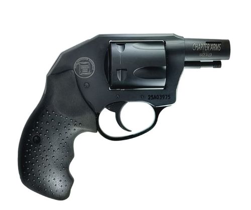 Charter Arms Boomer Revolver 357 Mag 2 in. Black/Wood 5 rd.