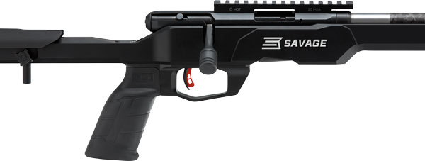 Savage Arms B17 Precision Lite Rifle
