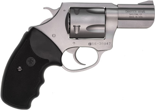 Charter Arms Pitbull .40 S&W 5-Shot Stainless Steel Revolver (2.3in)