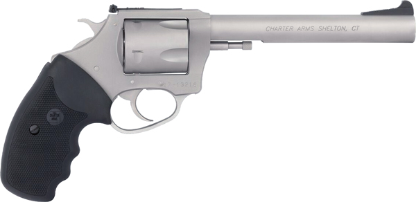 Charter Arms Pit Bull 9mm 5-Shot 6" Stainless Revolver