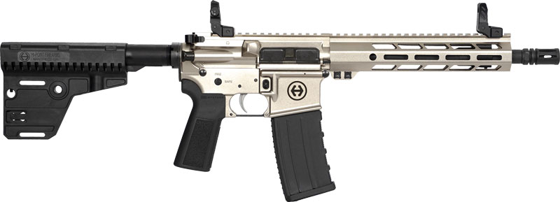 Hipoint Pistol HP-15 300 AAC - 10.5" 30RD Blade Brace Silver