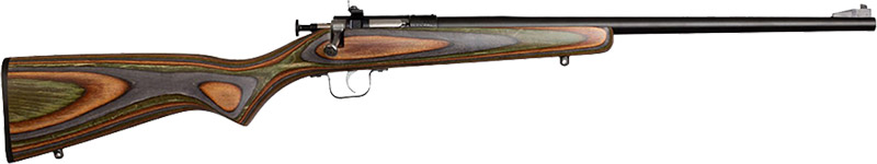 Crickett Rifle G2 22LR - Blued/CAMO Laminate