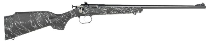 Crickett Rifle G2 22LR Black - Synthetic/GOLD WEB Blued