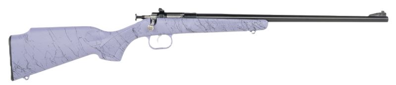Crickett Rifle G2 22LR Purple - Synthetic/GOLD WEB Blued