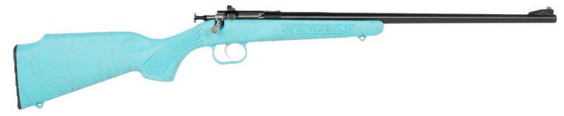 Crickett Rifle G2 22LR BLUE - Synthetic/GOLD WEB Blued