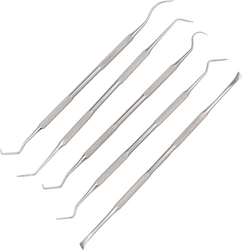 KleenBore KB-PICKSET Stainless Steel Double Ended 5-Piece Gun Pick Set