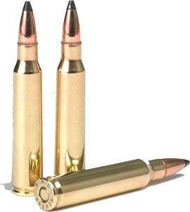 PMC Bronze .223 Rem 55gr Pointed Soft Point (PSP) Ammunition