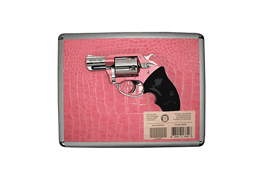 CHARTER ARMS CHIC LADY .38SPL 2" PINK/HIGH POLISH W/CASE