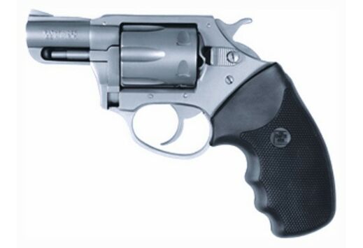 CHARTER ARMS PATHFINDER .22LR 2" S/S
