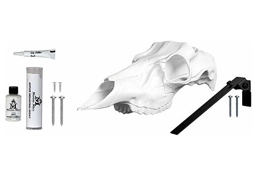 MOUNTAIN MIKE'S DEER SKULL KIT RECORD KEEPER INCL POSITIONER