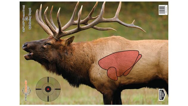 Elk Paper Target B/C TARGET PREGAME 16.5