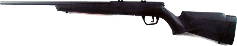 Savage B22 Magnum F .22 WMR Bolt-Action Rifle