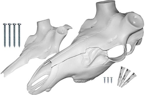 Mountain Mike's MMRESM Elk Skull Master Universal Kit, Natural Finish